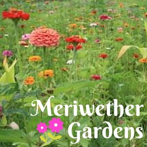 Meriwether Gardens